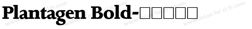 Plantagen Bold字体转换